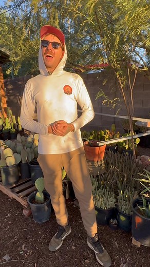 It’s hot out but our sale is even hotter 🔥 For the month of August, with code SUMMERSALE on ocotillojoe.com, you’ll get 15% off with a purchase of $500 or more. Do you need a yard refresh? Have you been wanting new plants but haven’t made the decision yet? Now’s the time! DM us with any questions. This sale is for any pick up orders or planting and delivery! #arizona #itsadryheat #plants #succulents #cactus #az | Ocotillo Joe, LLC