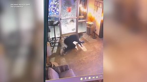 9.8K views · 73 reactions | Police are searching for a ‘ninja rolling’ burglar, who was caught on camera breaking into a store in California. | ABC 7 Chicago | Facebook