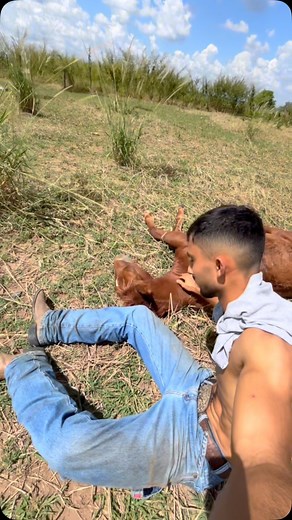 🌕 🐴 | André Pereira