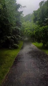 Rainy Night Ambience: Calm Rain Sounds & Night Mood
