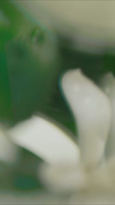 34K views · 90 reactions | Atkinsons 1799 on Reels | Facebook