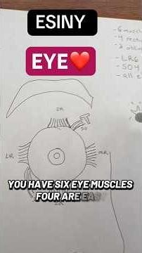 How your eye moves: #EyeMovement #Neurology #MedSchool #Extraocular #Neurosurgery #ophthalmology