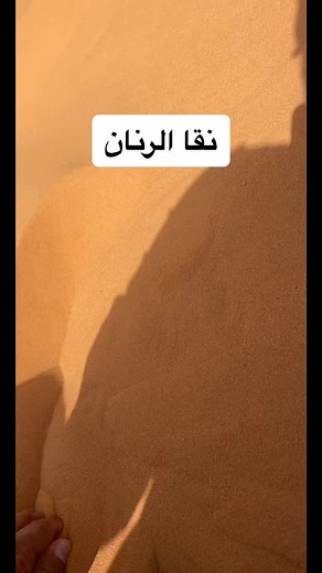 Exploring the Beauty of Desert Sands