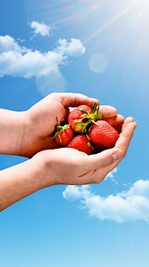 3 comments | Om nom nom nom nom #torontodessert #frozenyogurt #froyo #torontofood #springdessert #strawberrydessert #strawberrydrinks #strawberrytea | Yogen Fruz | Facebook