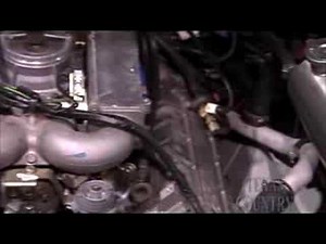 DeLorean Motor Co. Tour