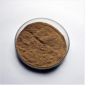 [Hot Item] Probiotics Bacillus Pumilus Used for Microbial Fertilizer