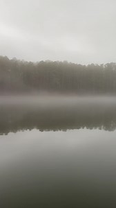 Embracing the beauty of the fog-kissed lake between the rain showers. | Daingerfield State Park - Texas Parks and Wildlife
