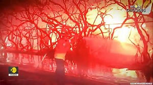 13K views · 112 reactions | #WIONDecodes | Southern California is experiencing its most devastating winter fires in more than four decades. While western US is prone to fires, doesn't usually blaze at this time What factors came together to defy the calendar in this deadly manner? Preksha Jain decodes | WION | Facebook