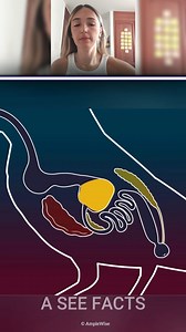 Is Reel Mein Asar Tha, Emotion Tha, Power Tha! #funfacts #reelitfeelit #viralvideo #viralvideoシ #viralpost | FunFact Fusion