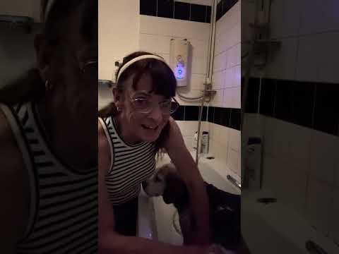 Snoopy’s having a shower 🚿 🐶