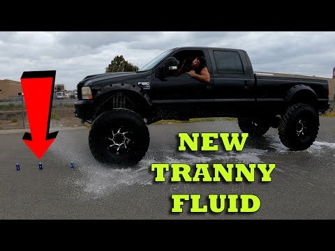 Bud Light Tranny Fluid
