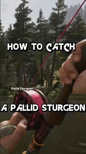 How To Catch Pallid Sturgeon In Far Cry 5! #farcry5 #shorts #gaming #fyp
