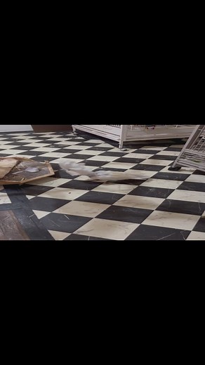 19 reactions |  Ever seen a cockatoo throw a tantrum over interior design differences? Meet Sara, the umbrella cockatoo, who has a... let's say, 'passionate' opinion about not being allowed to chew on my 1920s wood door trim. From growling to toy-throwing, she's making sure her voice is heard, loud and clear! 列 Witness the drama unfold and remember, in a cockatoo's world, 'no' is just a challenge. #CockatooTantrum #SaraSaysNo #UmbrellaCockatoo #BirdTantrum | The Birdy Babe | Facebook