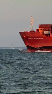 _FORT MONROE, VA; DOLPHINS ON THE BOW 🐬😲 #ship #sea #storm #navigation #lifeonship #anchor #lifeatsea #ocean | Ship on Sea