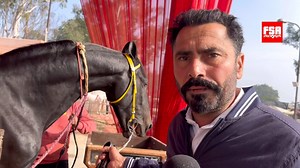 29K views · 1.3K reactions | King Cobra at Muktsar Horse Fair 2024 | FSA Entertainment | Facebook