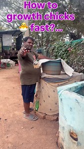 How to growth chicks 🐣 fast?… | Manjunath M