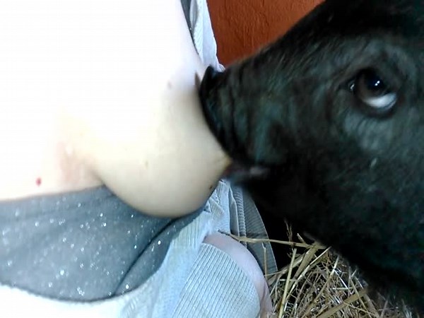 Yasmin breastfeeding piglet
