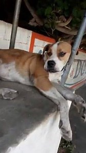 😂😂😂😂 por mamon | Ratón Memero