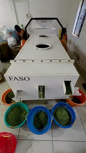 218K views · 785 reactions | Cardamom  #cardamom #spices #reels #mumbai #gujarat #raipur #nagpur #size #job #wholesale #spicy @santemumbai | cardamom plantation | Facebook