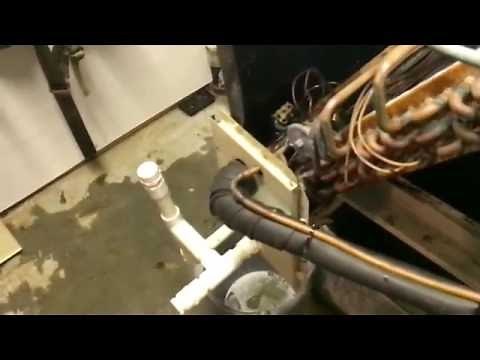 Carrier Drain Pan full of nasty .