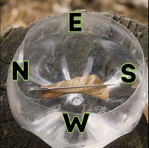 Bussola Fatta in Casa se ti Perdi nel Bosco! 🧭🌲 | 5 Minuti Creativi Uomo