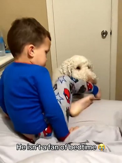 #creatorsearchinsights #funnyfails #comedyclips #failarmy #funnyvideo @MrBeast @FUNNNY KID🤣🤣😍😂