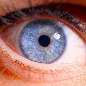 107K views · 14 reactions | Amazing macro world that you will satisfy: | You're Gorgeous | Facebook