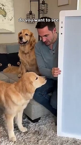Surprising My Puppy with a Magic Mirror