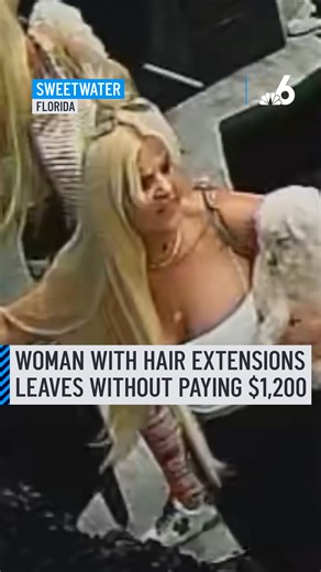 Hair thief caught on camera! Surveillance video captured how a woman with her dog in tow walked out of a Sweetwater hair salon allegedly without paying for her hair extensions and managed to get away despite being pepper-sprayed by the business owner. It took four hours, and nearly $1,200 worth of extensions to do the job, but when it was time to pay, the customer reportedly said she only had a bank statement with a card number on it, not an actual credit card. Click here bio for the full story: