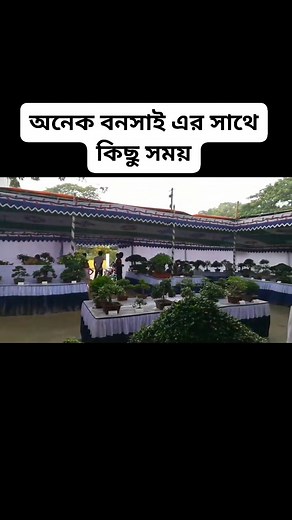 Bonsai Fair. | Bonsai Kingdom of Lemon