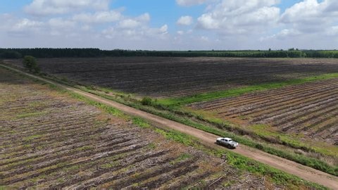 clip-3742638543-dirt-road-cutting-through-vast-deforestation-farmland