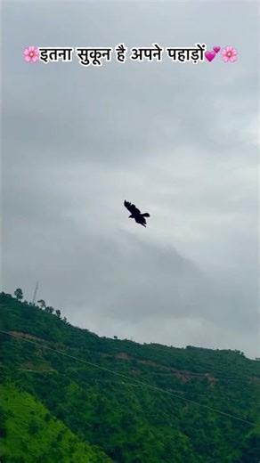 सुकून भरी जिंदगी पहाड़ों में 💕🌸🌹और उड़ता#suokone #nature #tample #travel