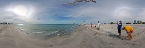Sand Key Beach, Florida (with gull feeding frenzy) 360 Panorama | 360Cities
