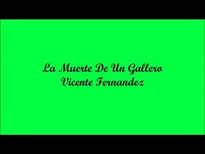 La Muerte De Un Gallero - Vicente Fernandez (Letra - Lyrics)