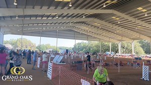 NorAust K9 Spring Agility at the Grand Oaks Resort 🐾 April 19-21, 2024 > 3000 Marion County Rd Weirsdale, FL (352)750-5500 | The Grand Oaks Resort