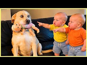CUTEST Baby Reactions Caught on Camera!