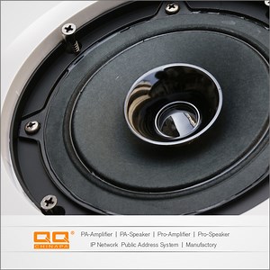 [Hot Item] Lth-8318s Ceiling Speaker for PA Speaker System with Coaxial Tweeter 8ohms 8inch