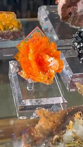 WULFENITE 📚 Gail Copus Spann Collection 🥰 | Saltshack