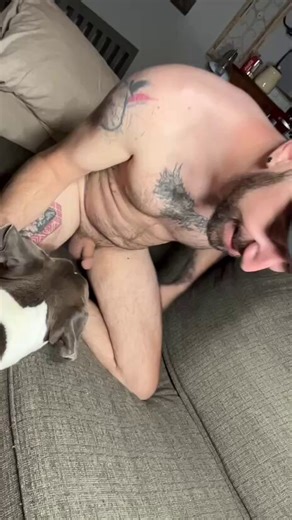 Hey Furry friends 🎉🏈🔗❤️🐕Got some exciting #zoo packages you don't wanna miss out Group link/mega links/discord server links are open to all Furry lovers Tap in to subscribe 🔗 https://t.co/qo3CJt3XNo