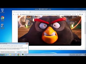 Angry birds bomb has BSOD VM