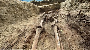 Skeletons of WWII-era nuns murdered by Soviets unearthed in Poland