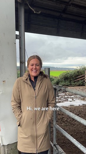 10K views · 157 reactions | Why aren't the grass fed cows on pasture...