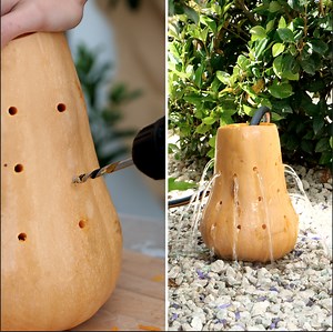 Helpful hacks to grow your perfect garden and rid of the insects🌱 | 5-Minute Crafts Play