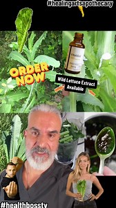 Get our Wild Lettuce Extract here! Benefits: Pain Relief • Induce and/or Improve Sleep • Whooping Cough • Anxiety • Restlessness • Certain Respiratory Issues • Joint Pain• Antibacterial • Support Digestion #HealthBossTV #HealingArts #HealingArtsApothecary #Healingartsme #Healthbosstv #BeYourOwnHealthBoss #Health | Healing Arts | Facebook