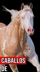 25K views · 383 reactions | Cómo Diagnosticar y Tratar la Anhidrosis...