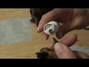 URPOWER Electric Premium Pet Nail File Gentle Paws Grooming Trimmer Clipper Reviews