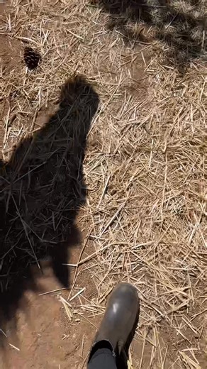 4K views | Barn Sounds + Comfy Barn Boots = Heaven Barn chores are not complete without my favorite FULLY slip-on barn boots. RideDry™ technology ensures moisture stays out. Seamlessly transition from barn tasks to trail rides without changing boots. Anna's tested them for a year - now it's your turn! 30-Day Free Returns. What are you waiting for? | Kerrits Equestrian Apparel | Facebook