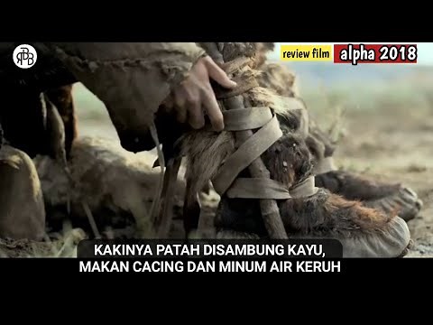 THE MOST EXCITING SURVIVAL FILM! - ALPHA film review