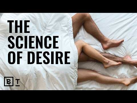 Your brain: the most important sex organ in the body | Emily Nagoski