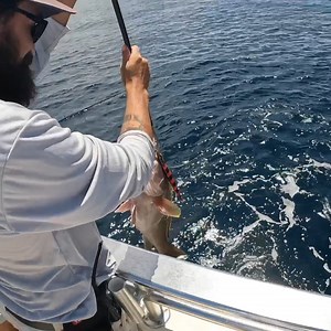 19K views · 1.4K reactions | Multiple Rare fish in 1000ft of water! | Landshark Outdoors | Facebook